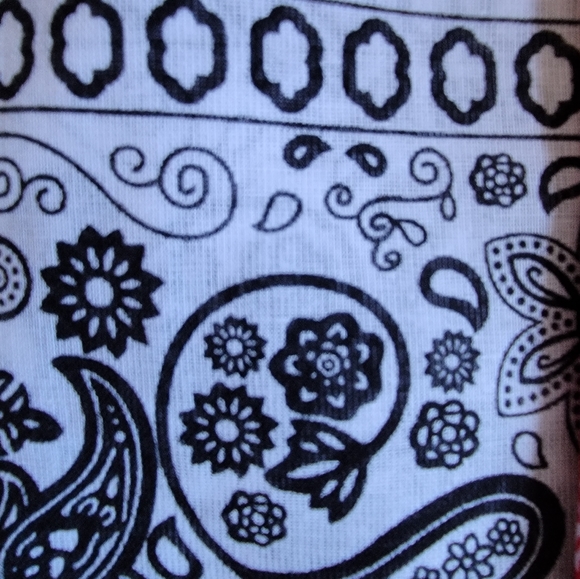 NWT/Paisley Bandanas (pack of 4) - Picture 3 of 4
